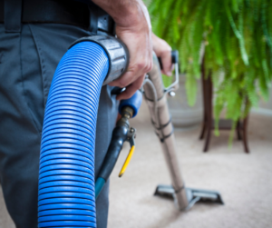 Corporate carpet cleaning service