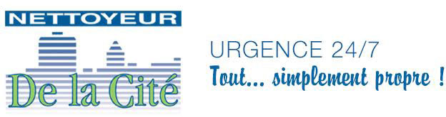 Nettoyeur de la cité